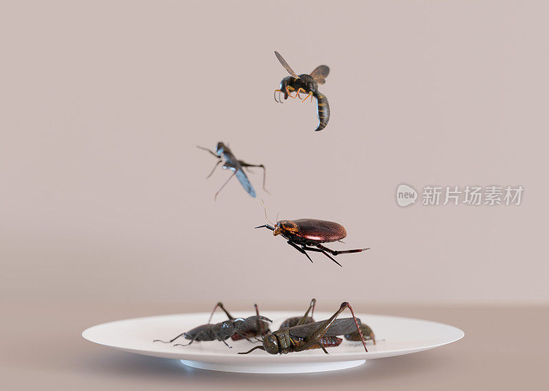 盘子里的可食用昆虫。蟋蟀是很好的蛋白质来源。食虫学，昆虫学的概念。油炸昆虫。特写视图。3 d渲染。